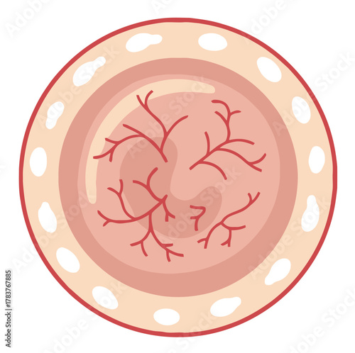 Human eye stylized illustration, medical diagram concept