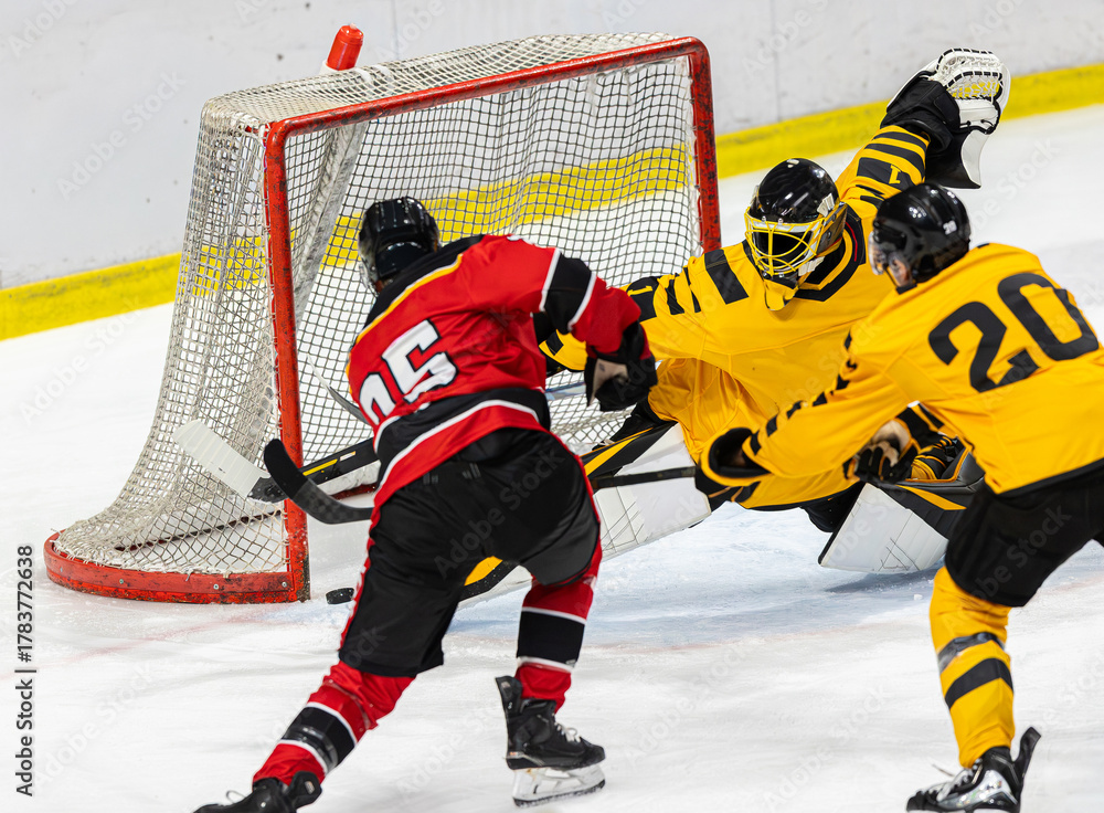 Fototapeta premium Ice hockey player shoots the puck in the net and scores