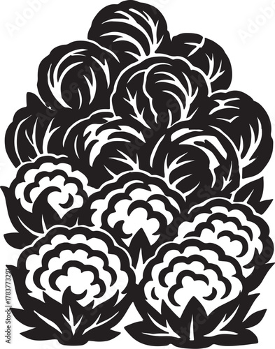 Cauliflower and cabbage vector art কপি