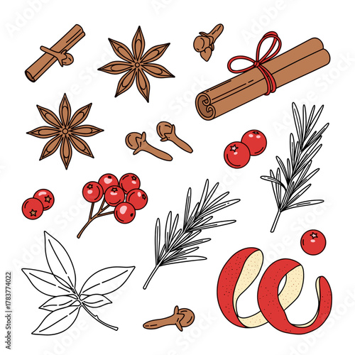Collection of winter herbs and spices for Christmas decoration  