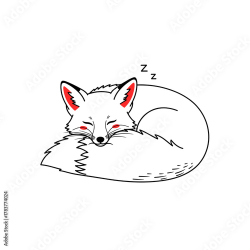 Sleeping fox curled up with fluffy tail on white background