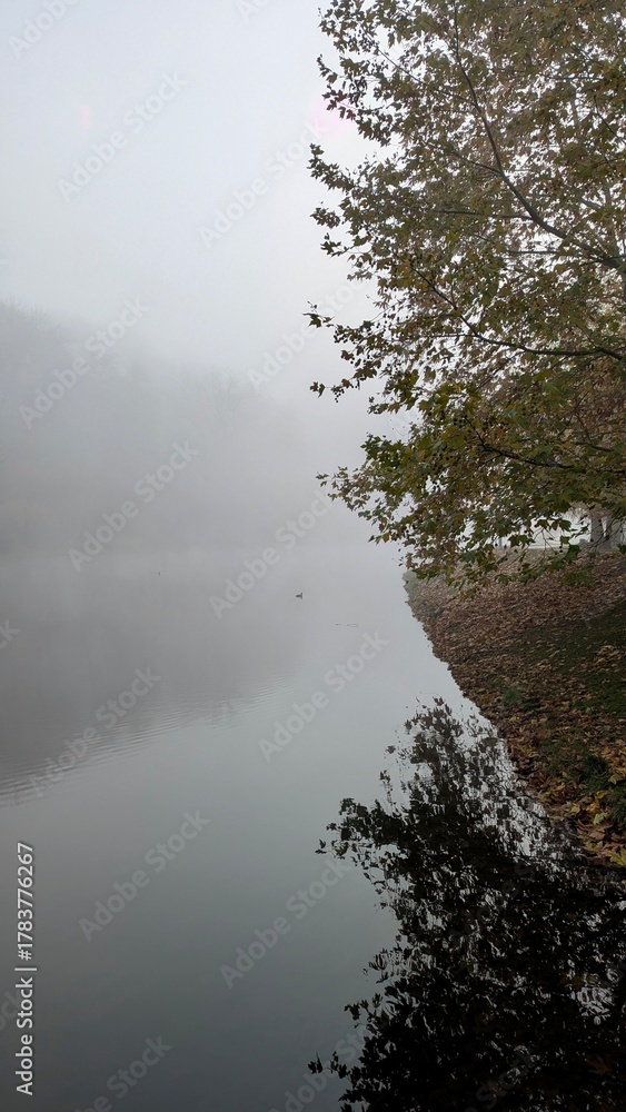 Fototapeta premium A tranquil, foggy lake scene in late autumn with a lone duck, a tree branch reflection, and a mysterious mist.