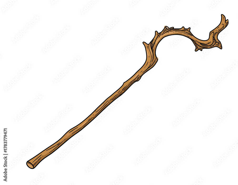 Obraz premium A gnarled wooden staff curves upwards with thorny protrusions, set against a solid black background