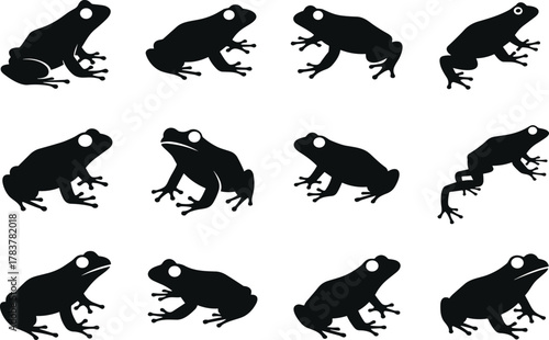 Frog silhouettes collection, amphibian animal vector illustration, black outline artwork, wildlife nature design, decorative stock graphic, biology theme pattern, educational artwork