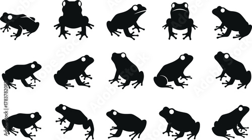 Frog silhouettes collection, amphibian wildlife vector illustration, black animal shapes in different postures, design elements for nature, biology, education themes