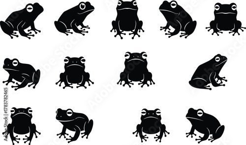 Frog silhouettes collection, amphibian wildlife vector illustration, cartoon animal shapes with big eyes, black design elements for nature, biology, education themes