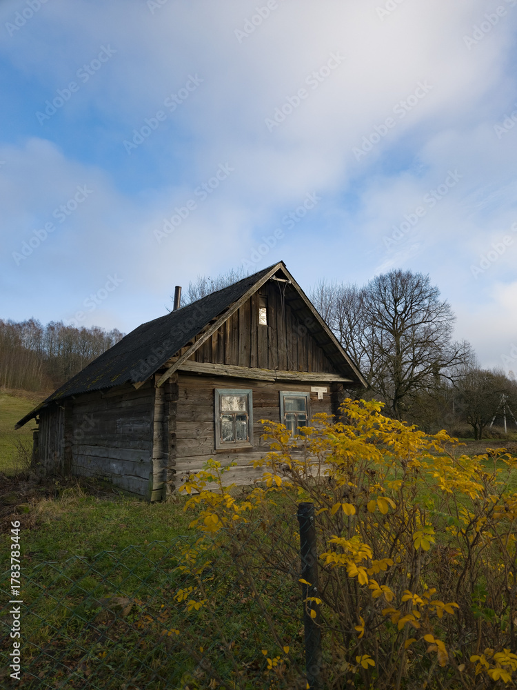 Obraz premium Rustic wooden house surrounded by greenery under a cloudy sky 