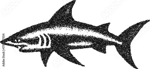 Great white shark side profile with detail stipple engraving vintage vector marine illustration