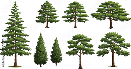 Tree illustrations, forest elements, botanical drawing, nature clipart, evergreen trees, deciduous trees, landscape design, foliage shapes, vector trees, silhouette art
