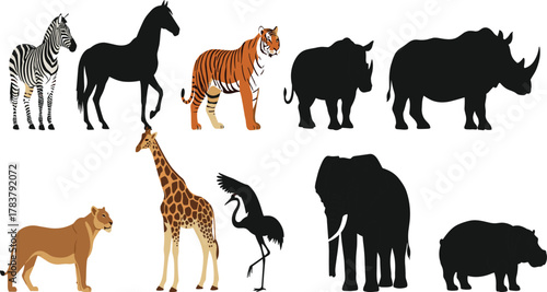 Wild animal collection, zebra, horse, tiger, rhinoceros, lioness, giraffe, crane, elephant, hippopotamus, silhouette and color vector illustration design