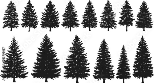Collection of detailed pine tree silhouettes, black evergreen and spruce tree shapes, perfect for forest, winter, nature, and outdoor vector illustrations.