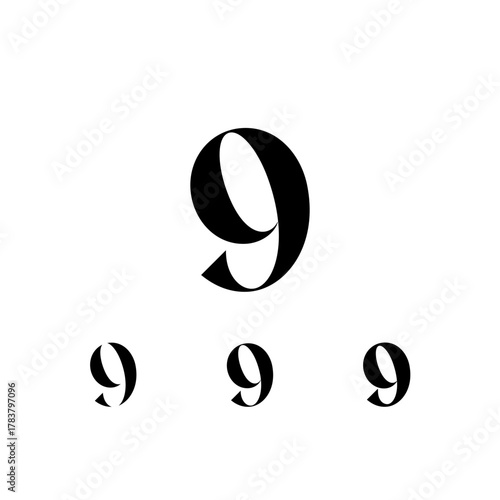 Exquisite Number 9, decorative posh numeral, vector illustration 10EPS