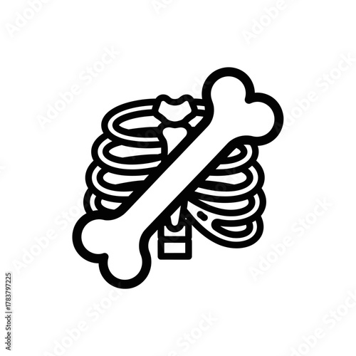 Ribcage and Bone Graphic - Anatomical Outline of Human Skeleton, Medical Icon.