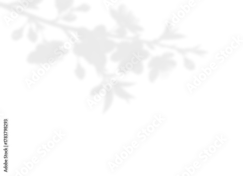 Soft Branch Shadow Overlay