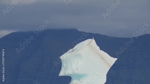 A large iceberg floats in the water of Scoresby Sund, a fjord system in eastern Greenland. The scene captures the immense scale of the Arctic landscape with a mountain range visible in the background 