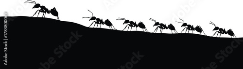 Ants walking on ground silhouette, teamwork and unity concept, insect colony working together, wildlife behavior, nature community cooperation vector illustration.