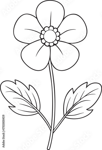 Buttercup flower line art drawing for kids coloring and springtime creative art