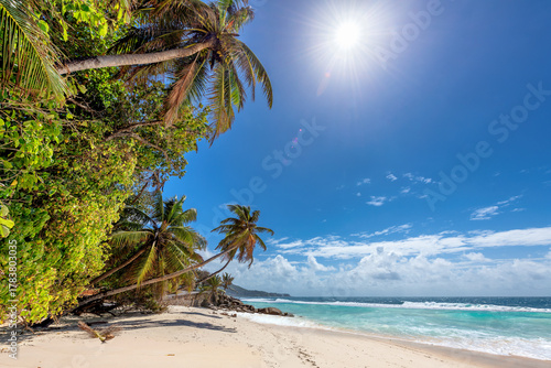 Fototapeta Naklejka Na Ścianę i Meble -  Sunny white sand beach with coconut palm, blue sky and turquoise sea. Summer vacation and tropical beach concept.