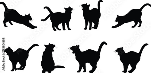 Black cat silhouette collection, feline poses, walking, sitting, stretching, tail raised, vector animal shapes, pet design elements, isolated black cats, graphic icons