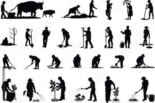 Farming silhouettes, agricultural process, gardening stages, soil preparation, planting seeds, watering plants, crop care, rural labor, farm tools, cultivation cycle, nature work, growth nurturing**