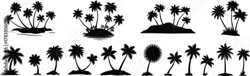 Palm tree silhouettes, tropical island graphics, black vector palms, beach design elements, exotic nature icons, summer clipart, paradise illustration, travel decor, vacation theme