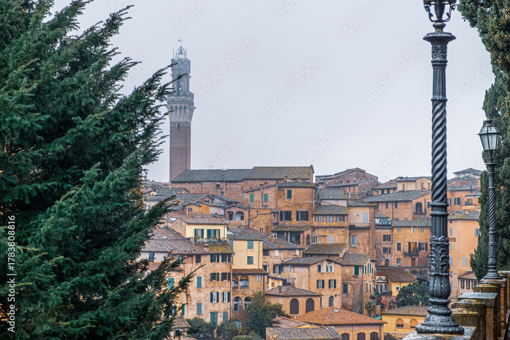 Fototapeta premium Medieval Cityscape View