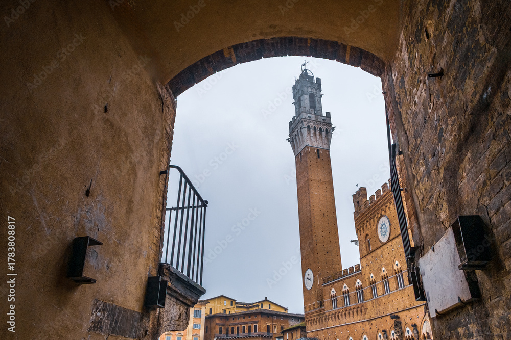 Obraz premium Torre del Mangia View