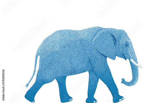 simple, flat vector illustration of an elephant walking, side view, on a white background. the image is composed of simple shapes made with black lines and blue shading, in the style of a simple child