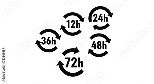 Vector illustration of set of circular arrows indicating time intervals of 12h, 24h, 36h, 48h, and 72h
