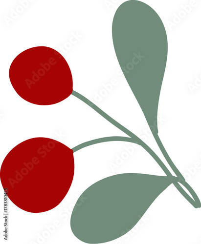 vector illustration of a flower berries Christmas winter 