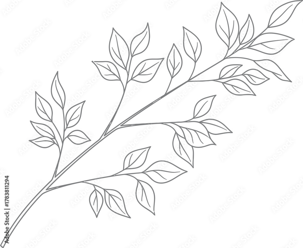 Fototapeta premium Delicate branch with leaves, creating a clean and simple botanical illustration for various design and artistic applications