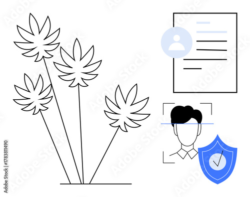 Cannabis leaves beside facial recognition icon, profile documents, and shield indicating verification. Ideal for identity security, AI, biometrics, privacy, technology, legal regulation and personal