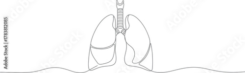 Lung anatomy and respiratory health illustration vector