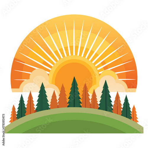 sun rising over forest