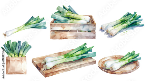 Watercolor Leeks in Various Presentations Fresh Produce Still Life