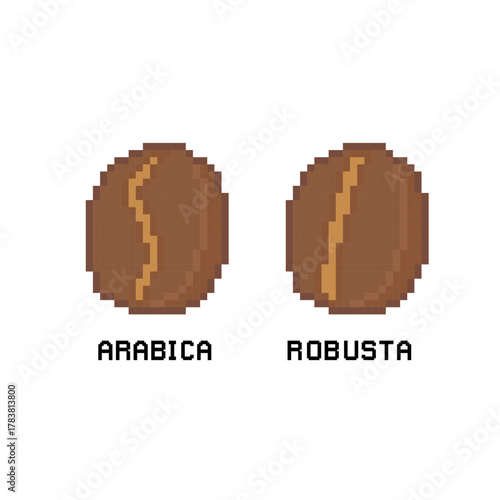 COFFEE BEANS ARABICA ROBUSTA PIXEL ART