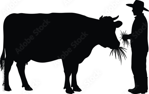 Silhouette illustration of farmer feeding cow with grass in hand, rural livestock concept, agriculture, cattle care, countryside lifestyle, vector design