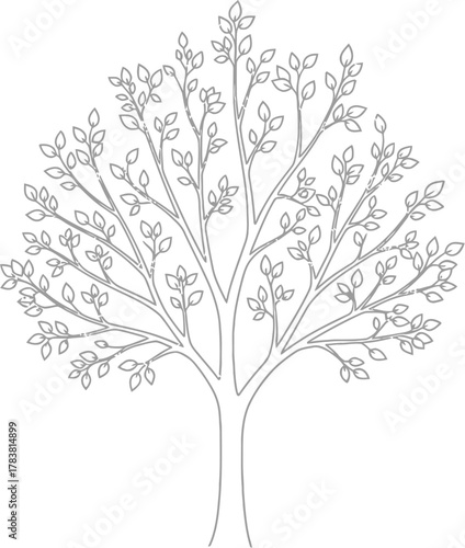 A delicate tree with fine branches and sparse leaves, rendered in a minimalist black and sketch