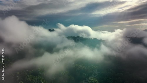 Seamless Aerial Journey: Drifting Through Misty Tropical Rainforest Clouds