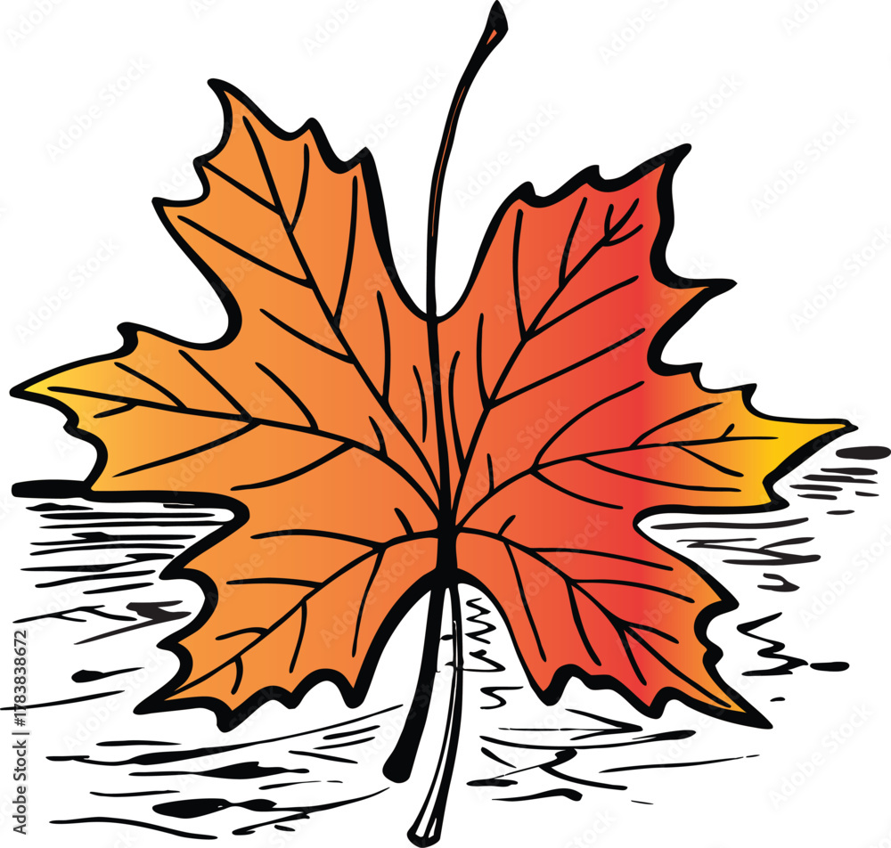 Obraz premium maple leaf vector