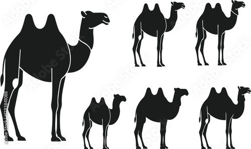 Camel silhouettes collection, desert wildlife vector illustration, black animal outlines, Arabian culture design, safari theme artwork, stock graphic, walking camel pattern