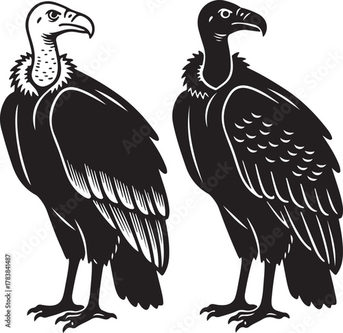 Stylized black and white illustration of two vultures standing. one detailed, one minimalist silhouette, depicting scavenger bird of prey art.
