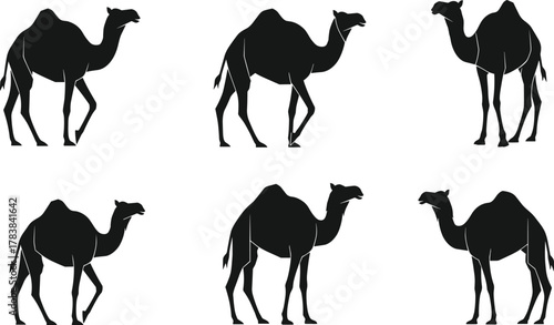 Camel silhouettes walking in desert, black animal outlines, wildlife vector illustration, Arabian culture, safari theme, stock art design, minimal artwork
