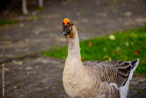 Ich sehe alles...

Was macht der denn da? Fragt sie mit ihrem Blick!