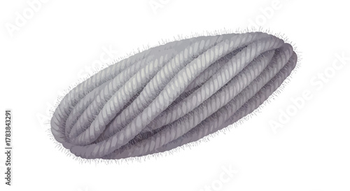 A thick coil of gray twisted rope isolated on a white background.