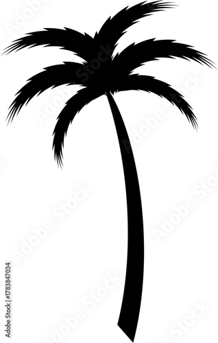 vector palm tree silhouette