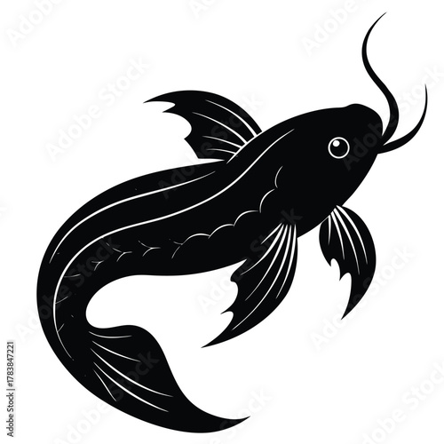 elegant-koi-fish vector-illustration-graphic