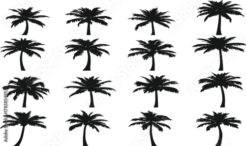 Palm tree silhouettes collection, tropical nature vector illustration, black botanical outlines, exotic island design, summer vacation theme, decorative stock artwork, pattern set
