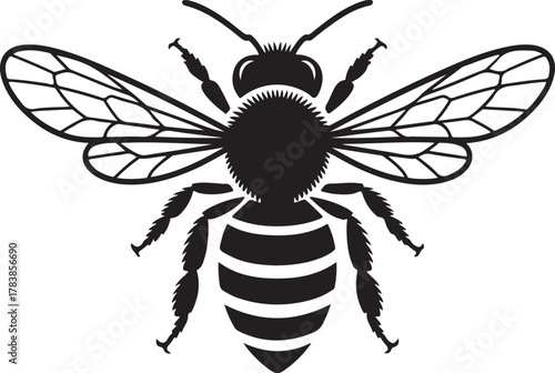 Detailed black and white honey bee silhouette with intricate wings and body
