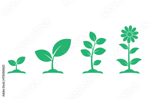 Plant growth icon stages from seedling to flowering plant. nature evolution concept